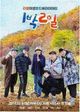 免费看综艺 乘风2023